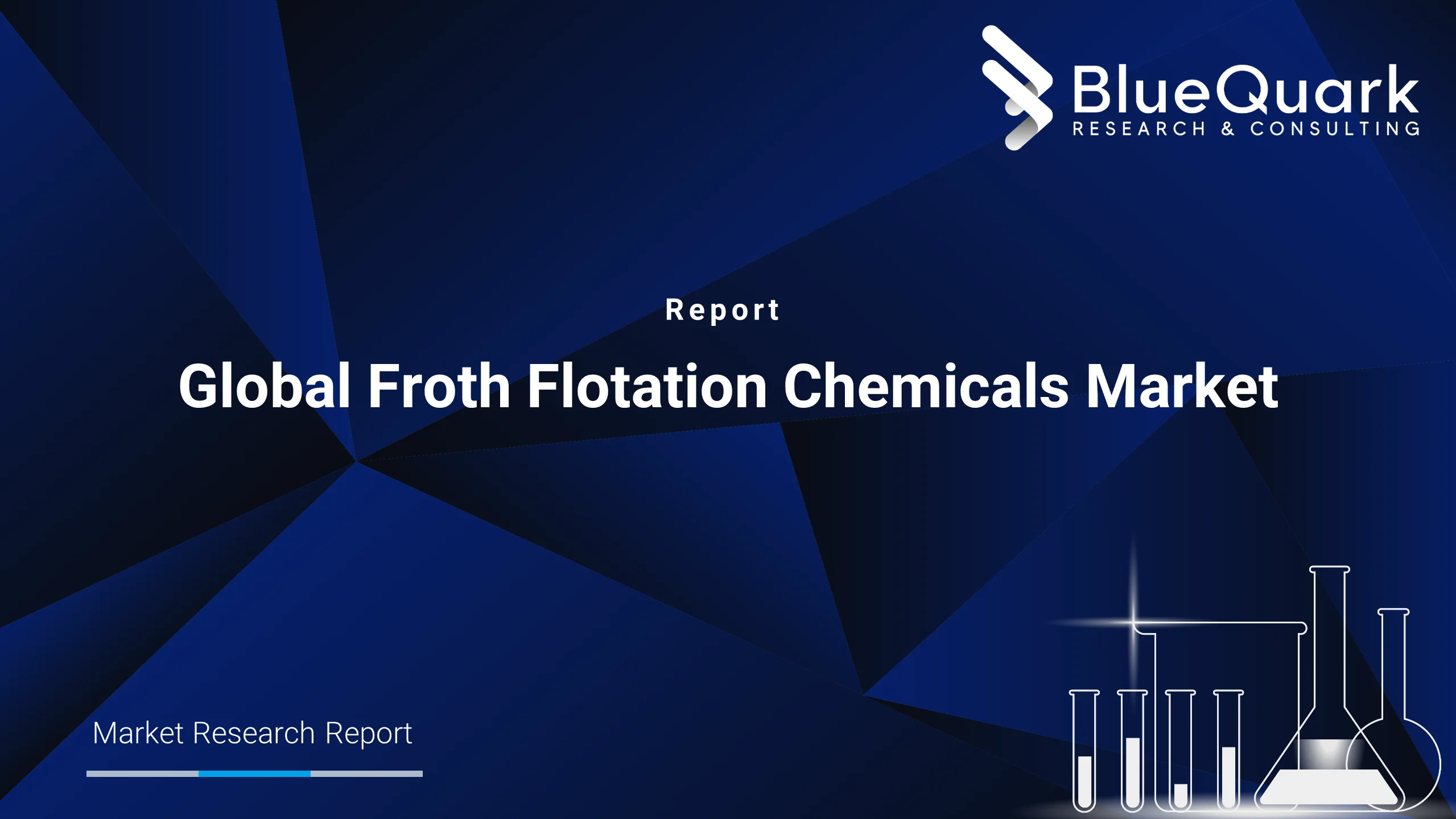 Global Froth Flotation Chemicals Market Outlook to 2029