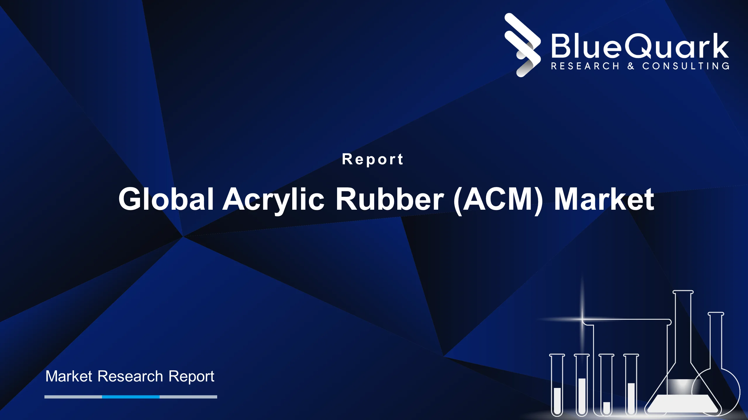 Global Acrylic Rubber (ACM) Market Outlook to 2029