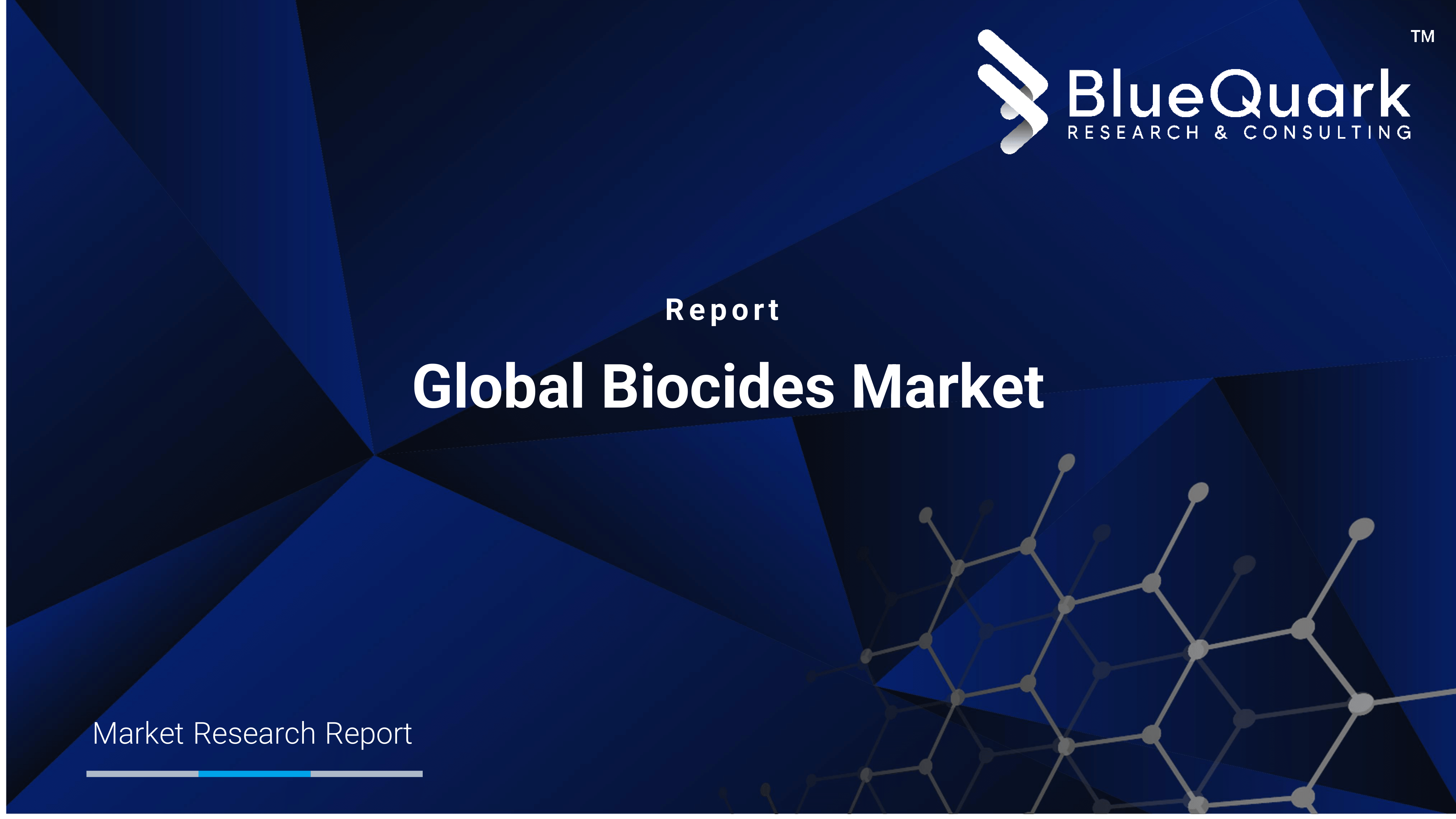 Global Biocides Market Outlook to 2029