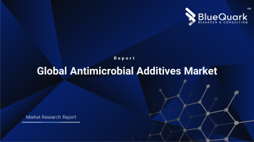 Global Antimicrobial Additives Market Outlook to 2029