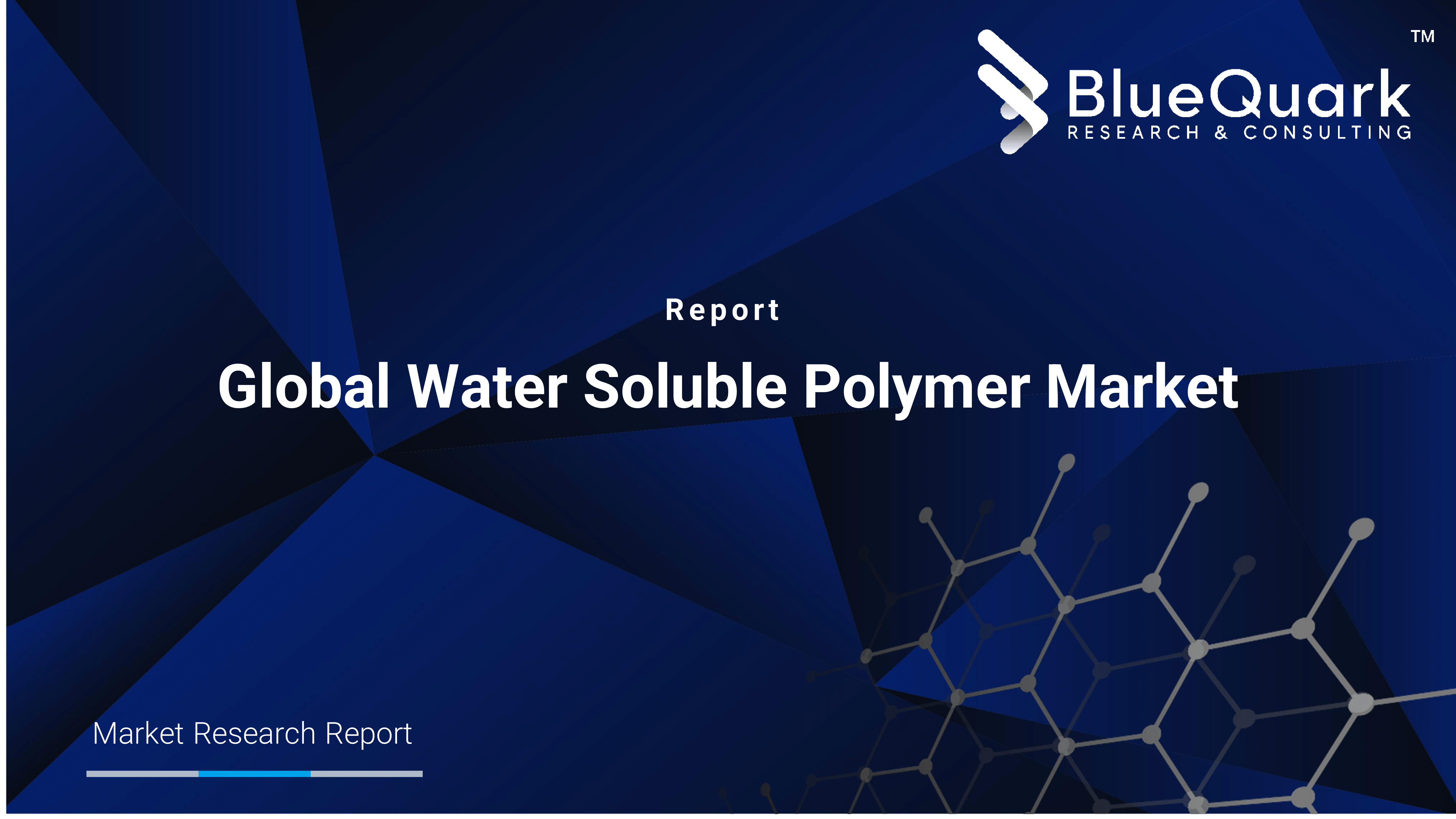 Global Water Soluble Polymer Market Outlook to 2029