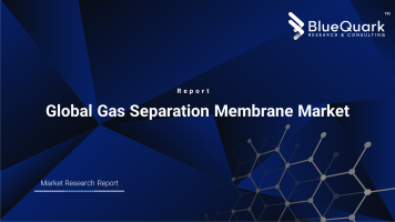 Global Gas Separation Membrane Market Outlook to 2029