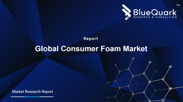 Global Consumer Foam Market Outlook to 2029