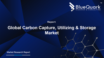 Global Carbon Capture, Utilization & Storage Market Outlook to 2029