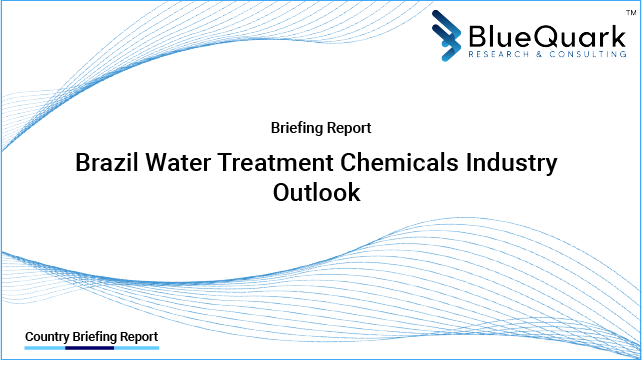 Brief Report on Water Treatment Chemicals Industry Outlook in Brazil from 2017 to 2029 - Market Size, Drivers, Restraints, and Key Company Profiles