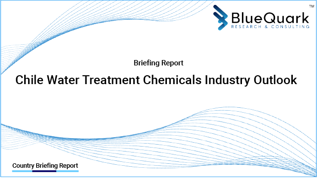 Brief Report on Water Treatment Chemicals Industry Outlook in Chile from 2017 to 2029 - Market Size, Drivers, Restraints, and Key Company Profiles