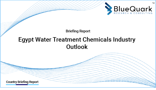 Brief Report on Water Treatment Chemicals Industry Outlook in Egypt from 2017 to 2029 - Market Size, Drivers, Restraints, and Key Company Profiles