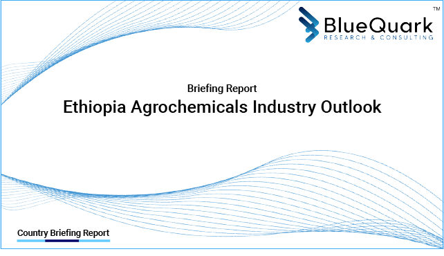 Brief Report on Agrochemicals Industry Outlook in Ethiopia from 2017 to 2029 - Market Size, Drivers, Restraints, Trade, and Key Company Profiles