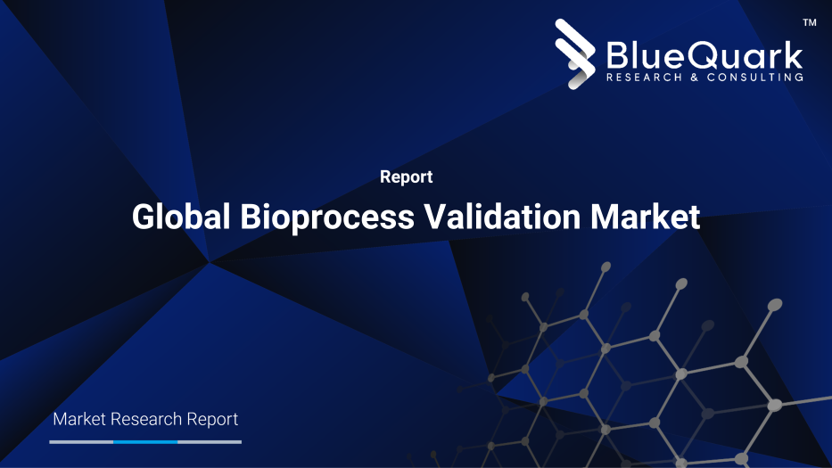 Global Bioprocess Validation Market Outlook to 2029