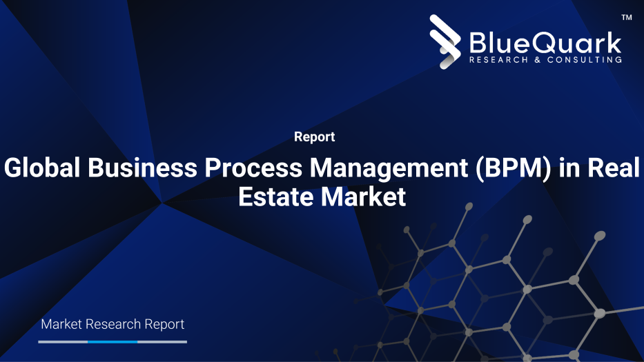 Global Business Process Management (BPM) in Real Estate Market Outlook to 2029