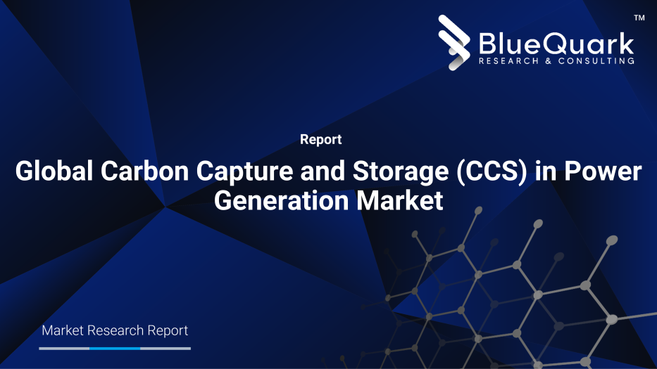 Global Carbon Capture and Storage (CCS) in Power Generation Market Outlook to 2029