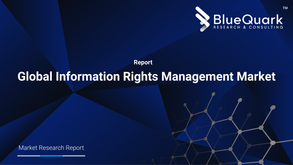 Global Information Rights Management Market Outlook to 2029