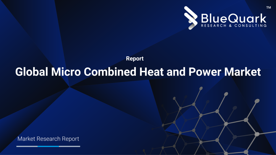 Global Micro Combined Heat and Power Market Outlook to 2029