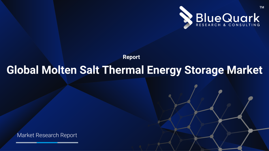 Global Molten Salt Thermal Energy Storage Market Outlook to 2029