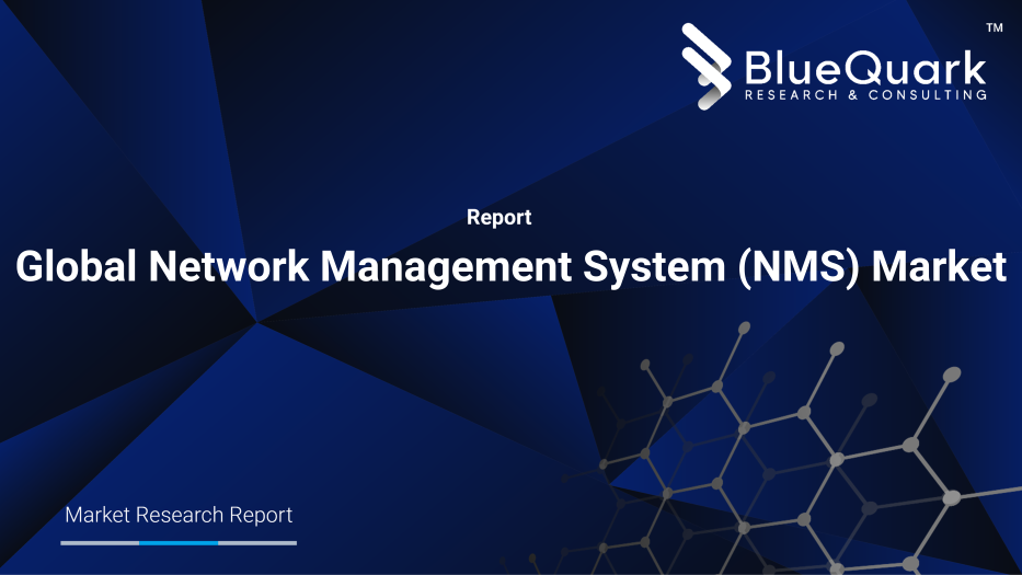 Global Network Management System (NMS) Market Outlook to 2029