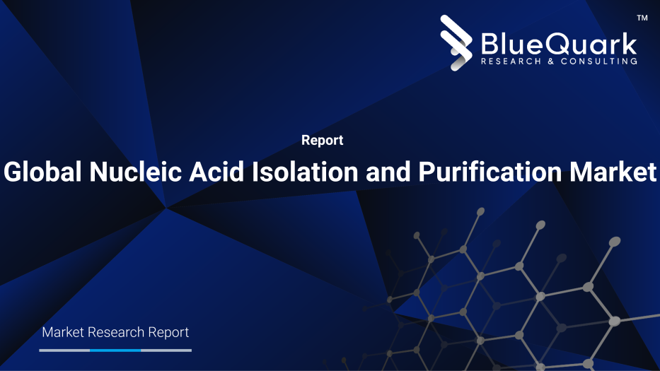 Global Nucleic Acid Isolation and Purification Market Outlook to 2029