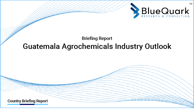 Brief Report on Agrochemicals Industry Outlook in Guatemala from 2017 to 2029 - Market Size, Drivers, Restraints, Trade, and Key Company Profiles