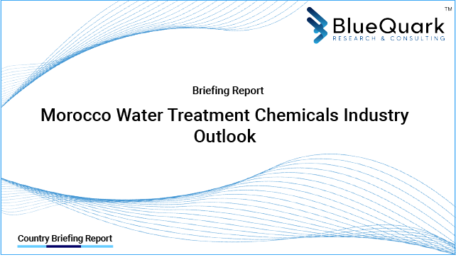 Brief Report on Water Treatment Chemicals Industry Outlook in Morocco from 2017 to 2029 - Market Size, Drivers, Restraints, and Key Company Profiles