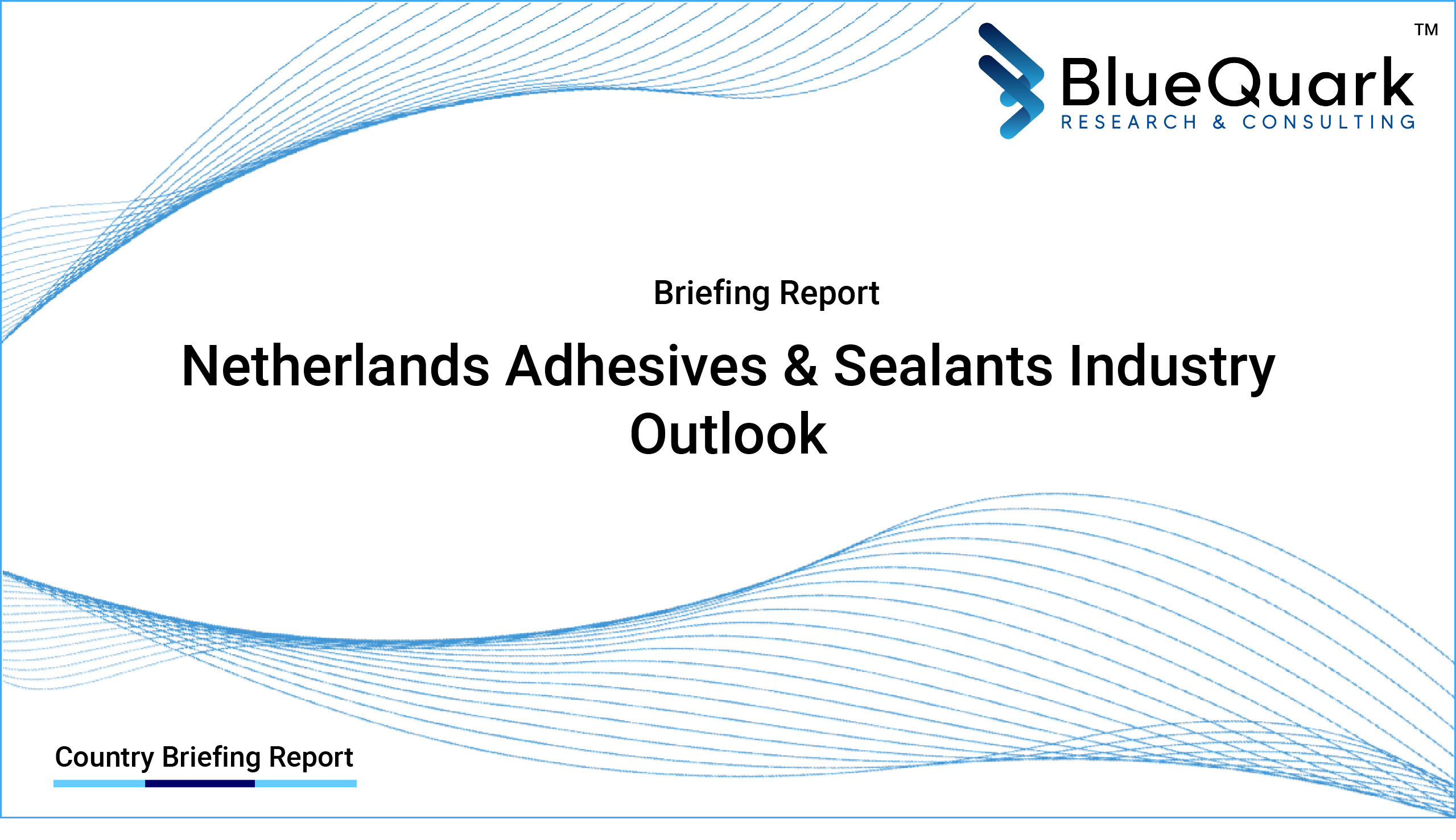 Brief Report on Adhesives & Sealants Industry Outlook in Netherlands from 2017 to 2029 - Market Size, Drivers, Restraints, Trade, and Key Company Profiles