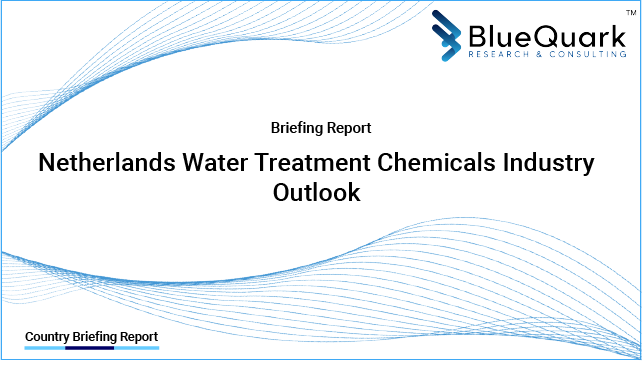 Brief Report on Water Treatment Chemicals Industry Outlook in Netherlands from 2017 to 2029 - Market Size, Drivers, Restraints, and Key Company Profiles